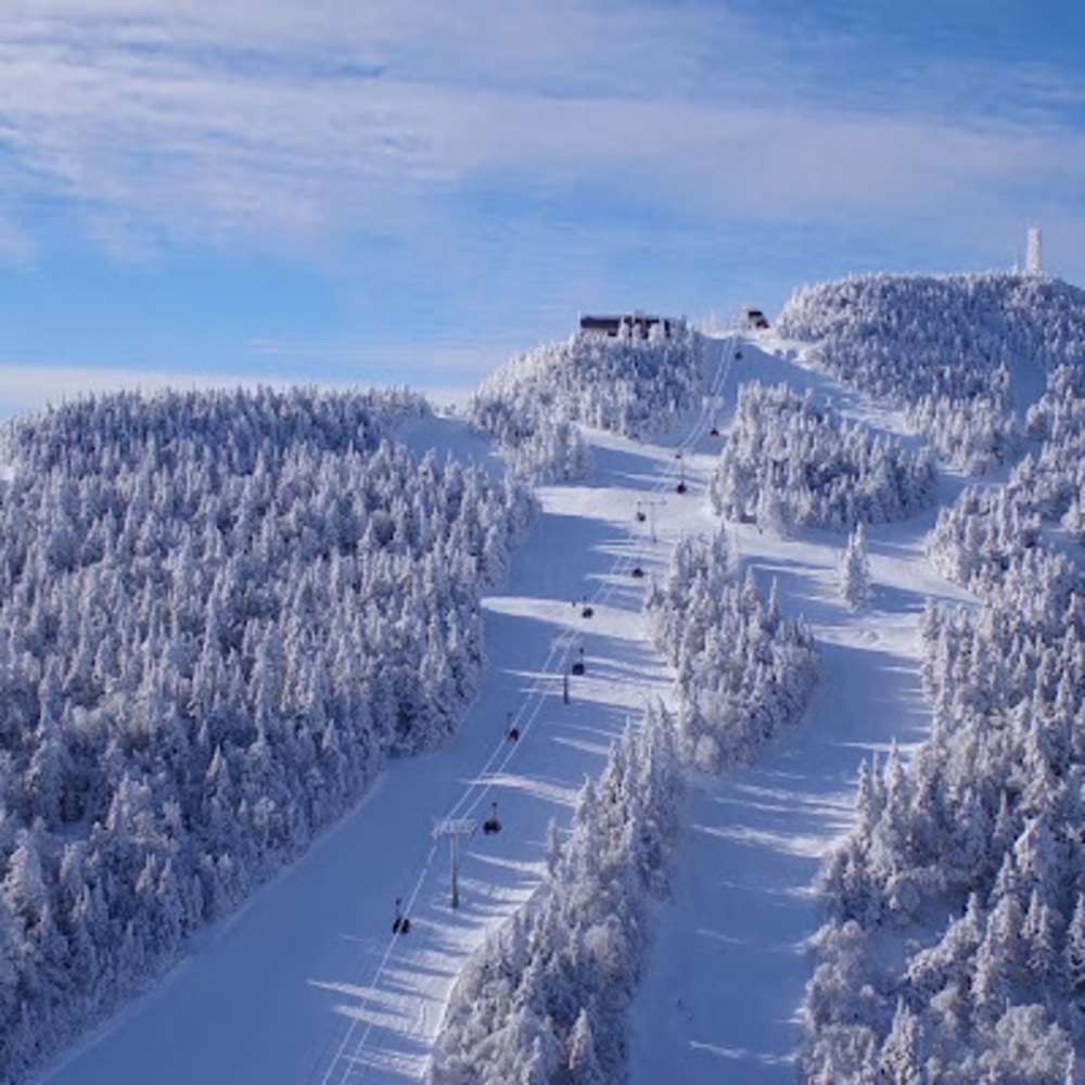 Meet your Posher, Krisztina